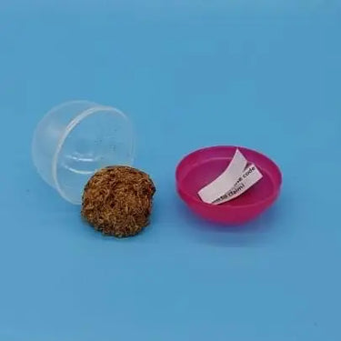 Individually Packed Treats for Beer Paws Vending Machine